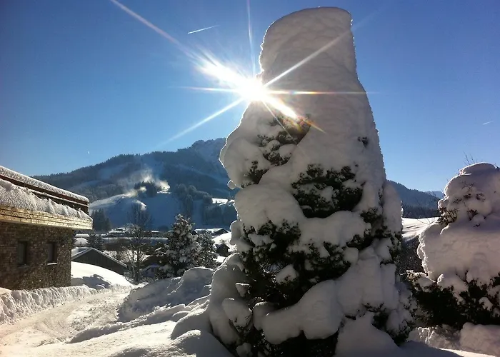Ξενοδοχείο Berghoteltirol